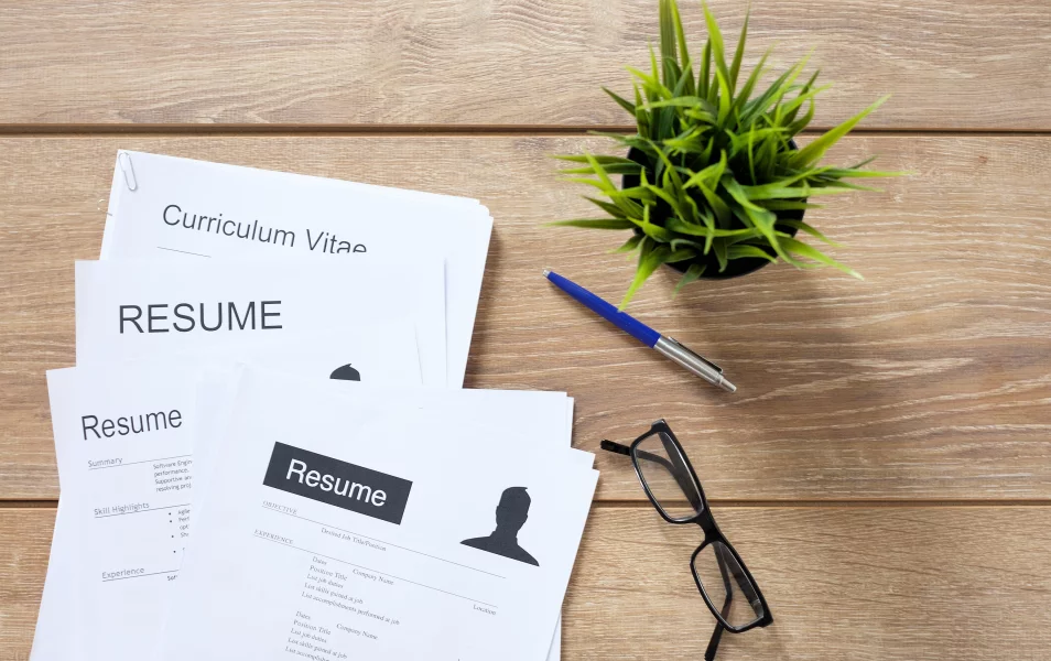 Vytlačené životopisy IT testerov, okuliare, pero, rastlina na stole