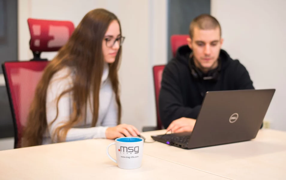 Salary of a tester in IT company msg life